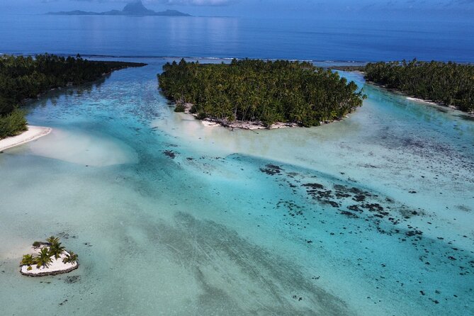 Tahaa Excursion in Electric Paddle Snorkeling Coral Garden - The Coral Garden: the heart of the three-hour trip