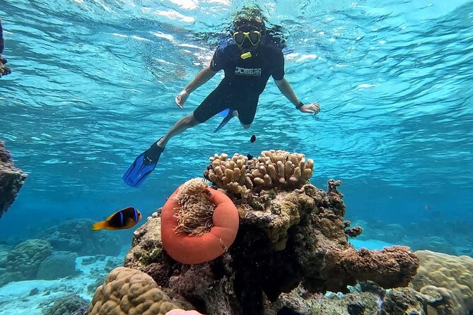 Tahaa: Kayaking Rental - Coral Garden - Snorkeling - Is $36.44 good value?