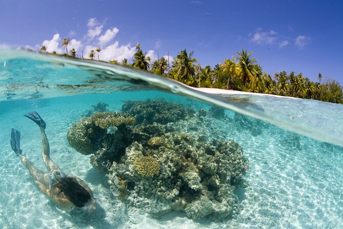 Tahaa Lagoon Tour -Departure Raiatea-Small groups (max 12 p) - Is $143.33 a fair price?