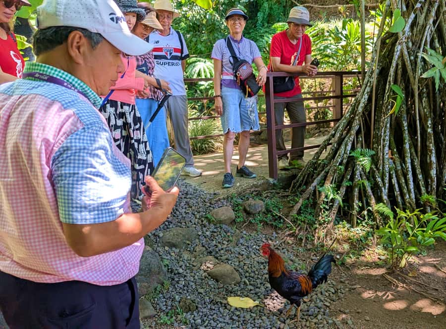 Tahiti Classical Coastal Full Day Private Tour - Why this route works for a one-day Tahiti visit