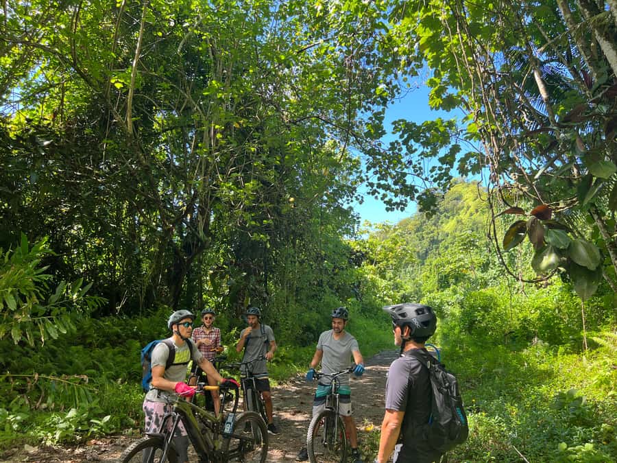 Tahiti E-bike, mtb, vtt Tour with Swimming and Lunch - Climbing past the dams to the second dike