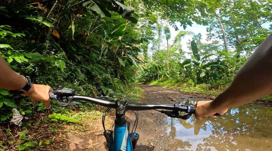 Tahiti E-bike, mtb, vtt Tour with Swimming and Lunch - Should you book the Titaaviri Valley ride?