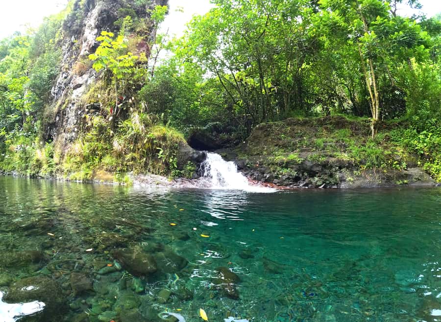 Tahiti E-bike, mtb, vtt Tour with Swimming and Lunch - Birdlife, waterfalls, and the first black-sand pool