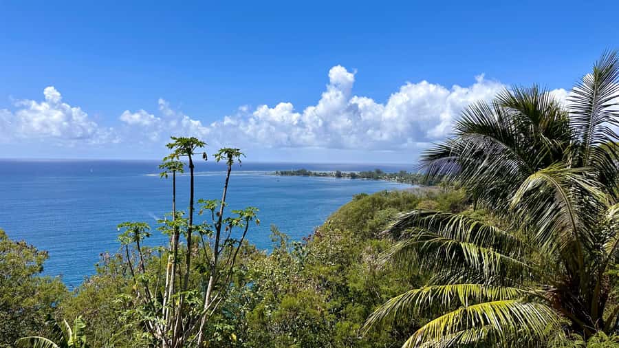 Tahiti: East or West coast tour (Half Day) - Two coasts, two very different Tahiti experiences