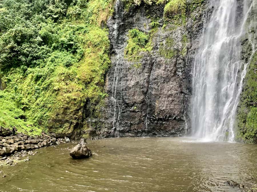 Tahiti: East or West coast tour (Half Day) - The guide can shape the day