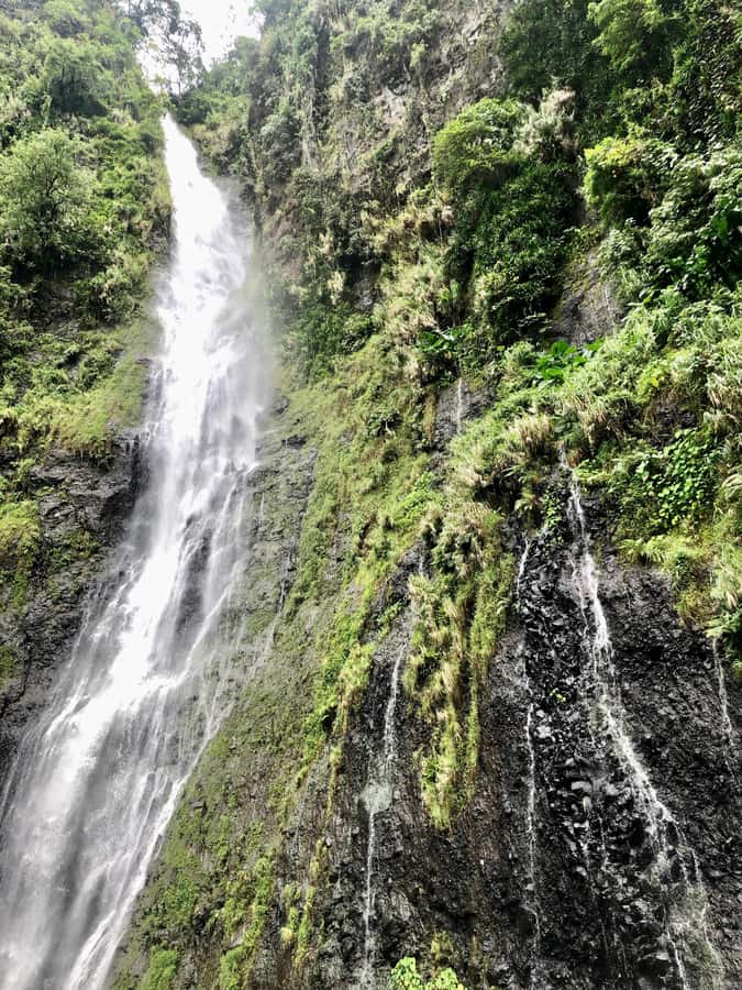 Tahiti: East or West coast tour (Half Day) - Which coast should you choose?