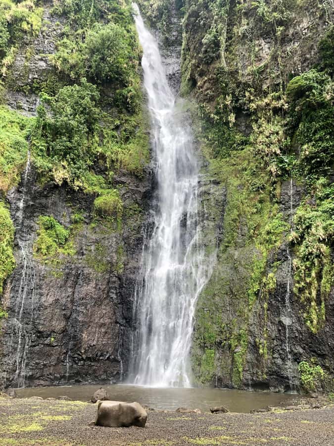 Tahiti: East or West coast tour (Half Day) - Who will get the most from this tour?