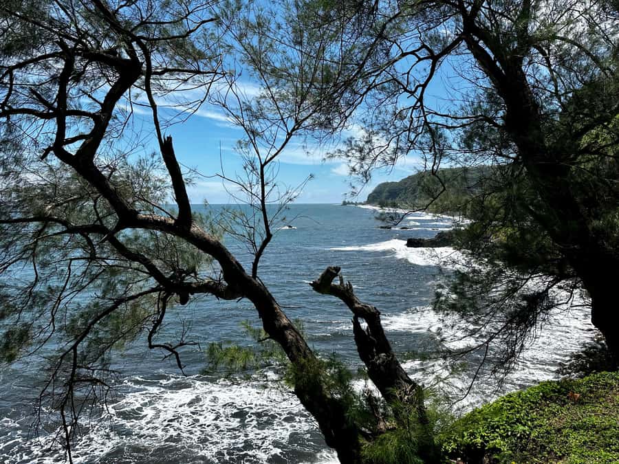 Tahiti: East or West coast tour (Half Day) - The east coast: Pointe Vénus, cliffs, and waterfalls