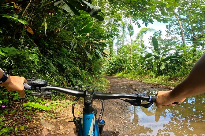 Tahiti excursion adventure circuit MTB MTB E-Bike private valley - Passing the dams toward the best views