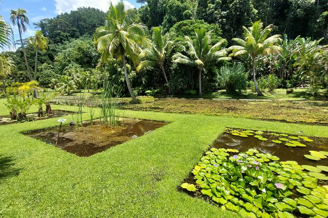 Tahiti Full Day Private Coastal Tour - Papeete viewpoint and the first look at the island