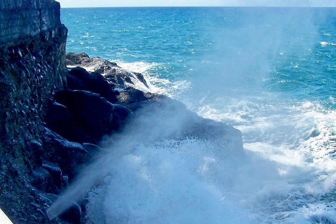 Tahiti: Full Day Tour of the Island - Vaipahi Water Gardens slow the middle of the day