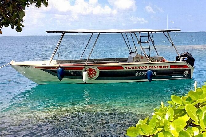 Tahiti: Full Day Tour with Taxi Boat (Teahupoo. OJ 2024) - Vaipahi Water Gardens and Tahiti’s botanical side