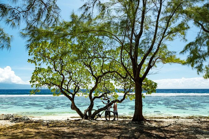 Tahiti Half Day Coastal Private Tour - The guides make the drive count