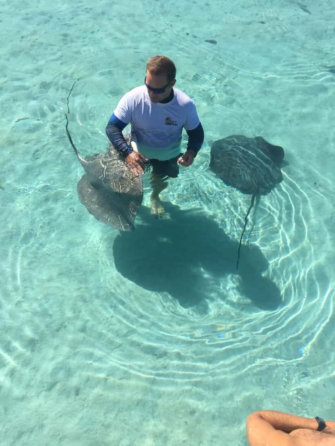 Tahiti island: 4 hours Snorkeling Tour - Why this four-hour Tahiti outing is worth considering