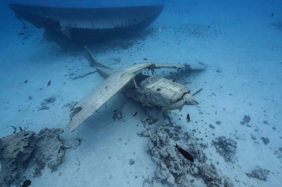 Tahiti island: 4 hours Snorkeling Tour - Starting with dolphins near Tahiti