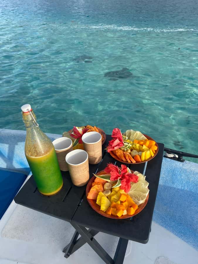 Tahiti island: 5 hours Snorkeling Picnic - From dolphin watching to the first snorkel stop