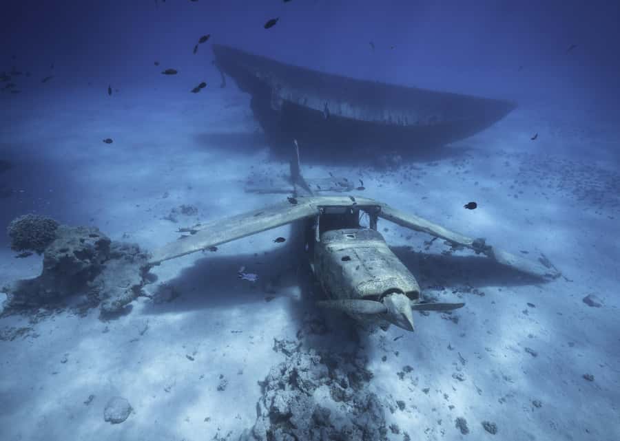 Tahiti island: 5 hours Snorkeling Picnic - What to pack for five hours in sun and salt water