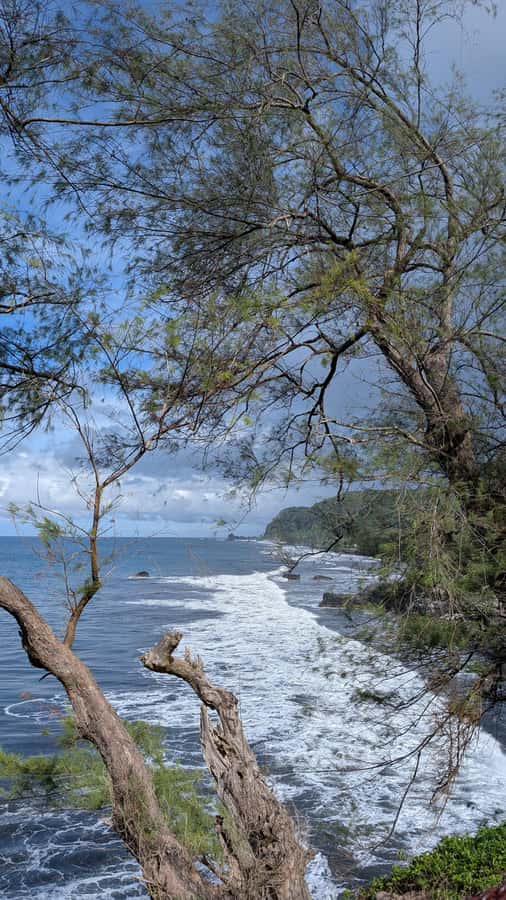 Tahiti: Northeast Coast Waterfalls&Viewpoints Half Day Tour - Point Venus and Captain Cook’s 1769 observation