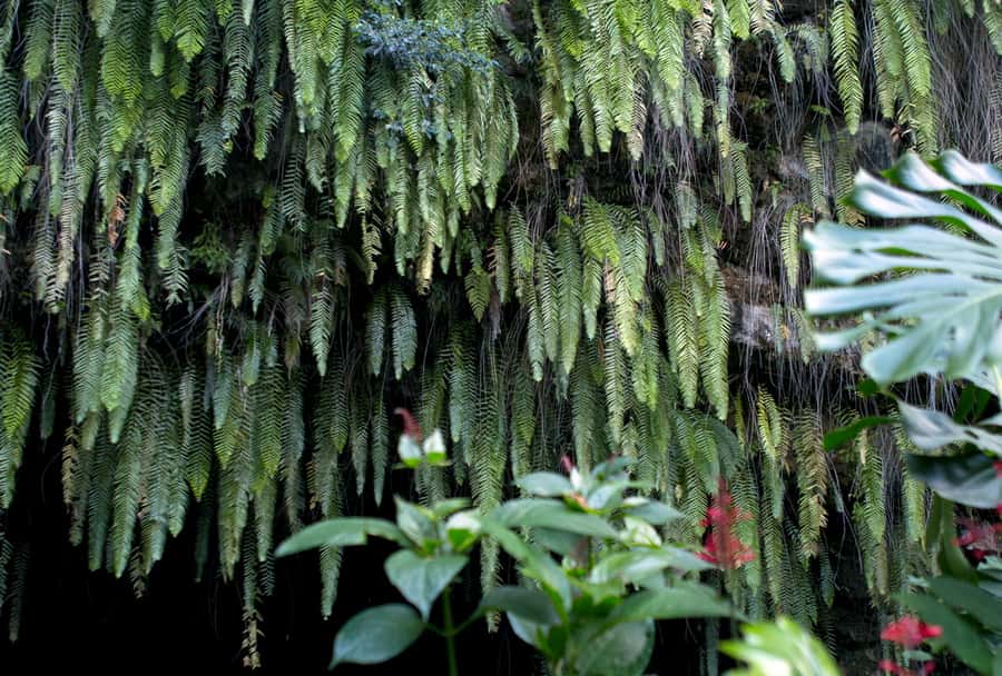 Tahiti: Private Half Day Culture and Nature Highlights Tour - Taharuu Black Sand Beach and the power of the coast