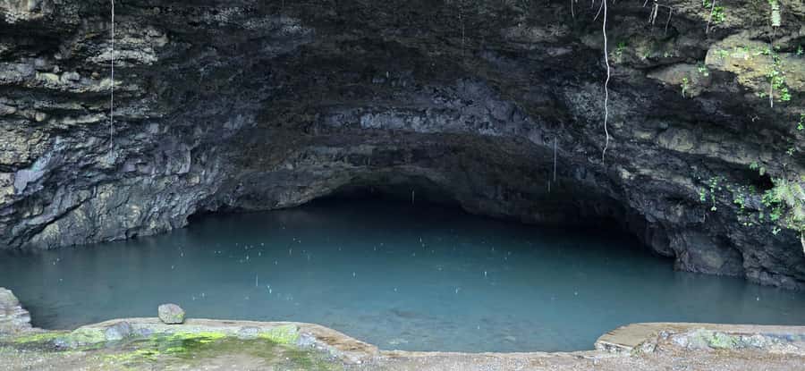 Tahiti: Private Half Day Culture and Nature Highlights Tour - Vaipahi Water Gardens slows the morning down