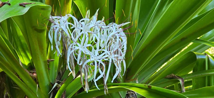 Tahiti: Private Half Day Culture and Nature Highlights Tour - Phaeton Bay connects Tahiti to the sea
