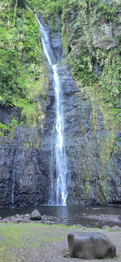 Tahiti: Private Half Day Culture and Nature Highlights Tour - Guides, timing, and the value of a private group