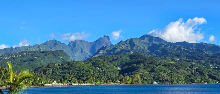 Tahiti Private Half Day Tour. Nature, history and culture - ’Ārahurahu Marae, Tahiti’s cultural beginning