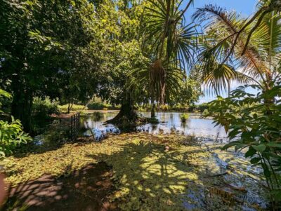 Tahiti Private Half Day Tour. Nature, history and culture