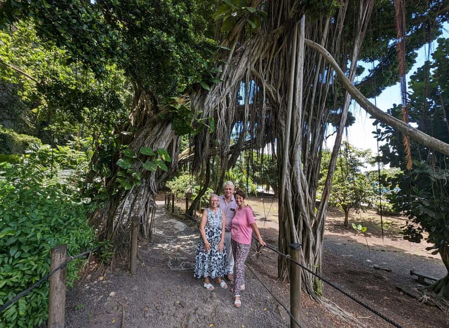 Tahiti Private Half Day Tour. Nature, history and culture - Mara’a Grotto, a cool pause beside the road