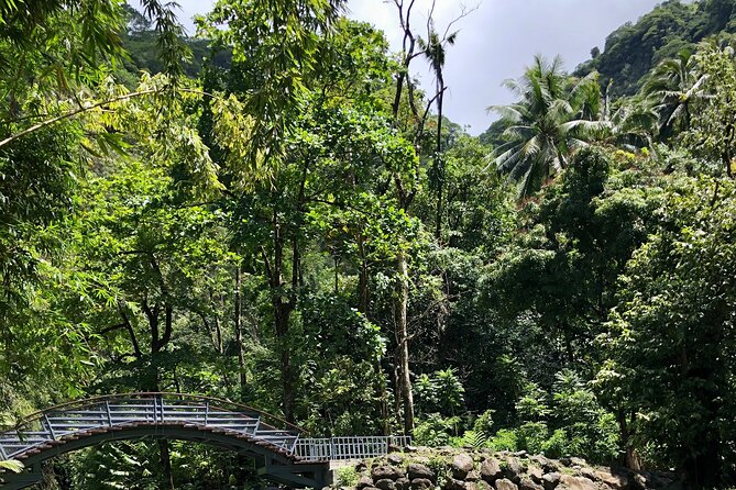 Tahiti: Tour of the East or West Coast (Half Day) - Tahara’a Belvedere and the view toward Moorea