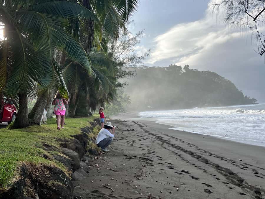 Tahiti: Unique East Coast Half Day Tour with Local Guide - The pickup detail you should take seriously