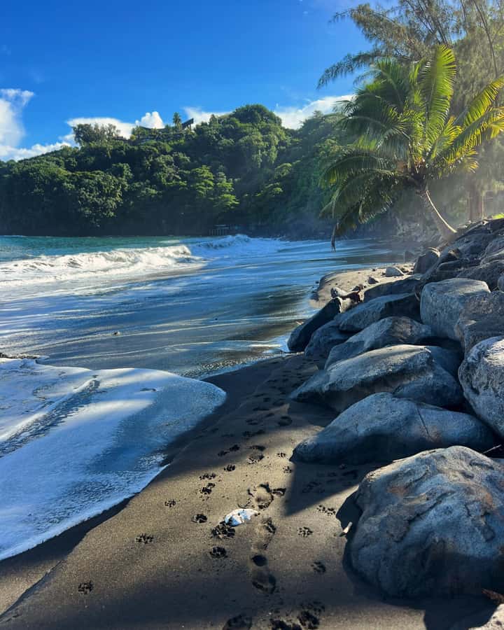 Tahiti: Unique East Coast Half Day Tour with Local Guide - Papeete begins with government, markets, and street art