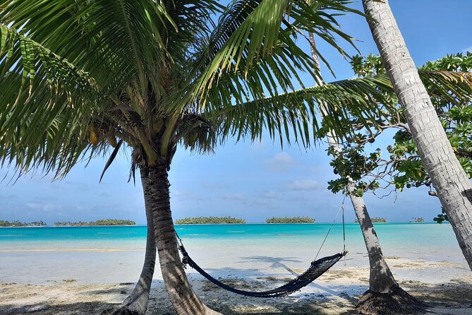 The Blue Lagoon by private boat - Bird island and a slower hour in the lagoon