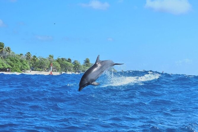 The Blue Lagoon by private boat - Tiputa Pass brings dolphins and coral close together