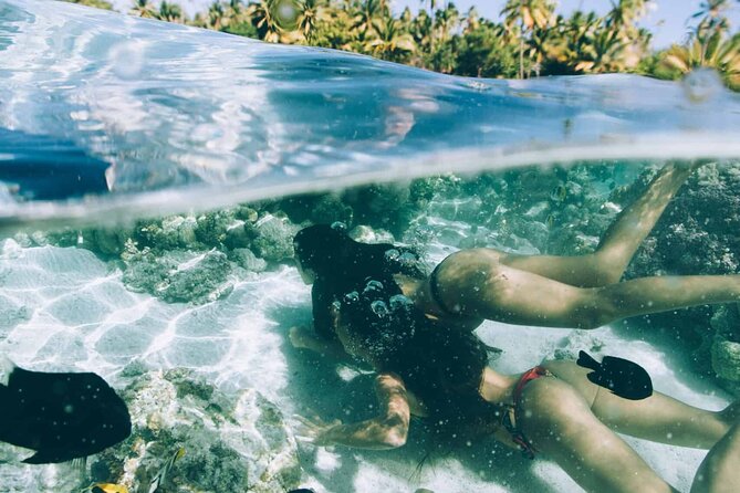 The Vanilla tour of Taha'a in a comfortable outrigger canoe - Coral Garden snorkeling near Taha’a