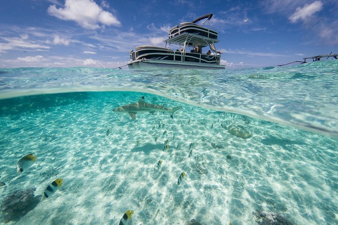 Toa Boat Bora Bora Private Lagoon tour On Ambassador Boat - The slide, shower, and easy family appeal