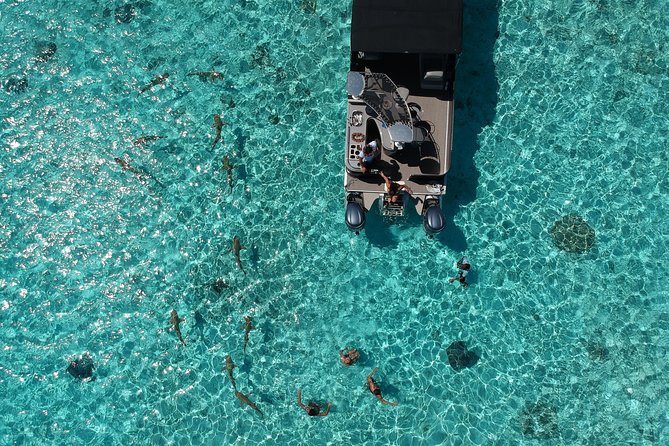 Toa Boat Bora Bora Private Lagoon Tour On Entertainer Bar Boat - The island tour gives you a different view