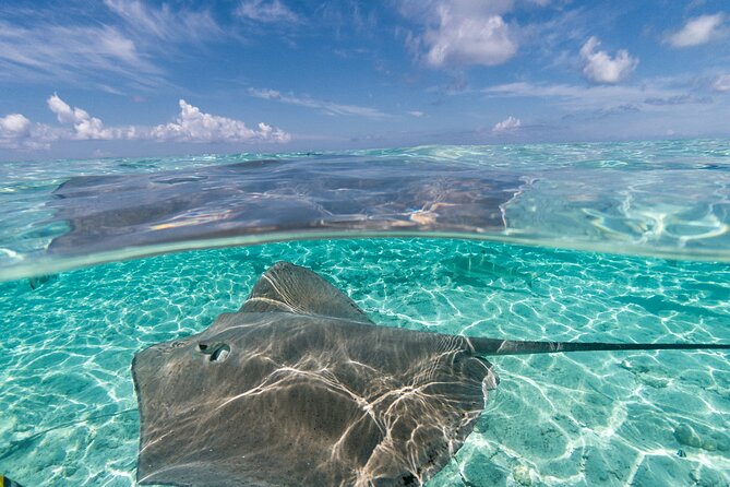 Toa Boat Bora Bora Private Lagoon tour On Majestic Pontoon Boat - Island Views Without Rushing the Morning