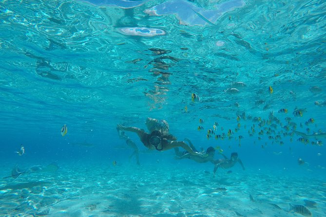 Toa Boat Bora Bora Private Lagoon tour with Lunch on Entertainer Bar Boat - Lunch cooked beside the lagoon
