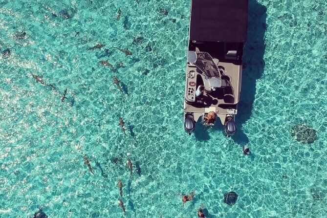 Toa Boat Bora Bora Private Lagoon tour with Lunch on Entertainer Bar Boat - Is $795 per person good value?