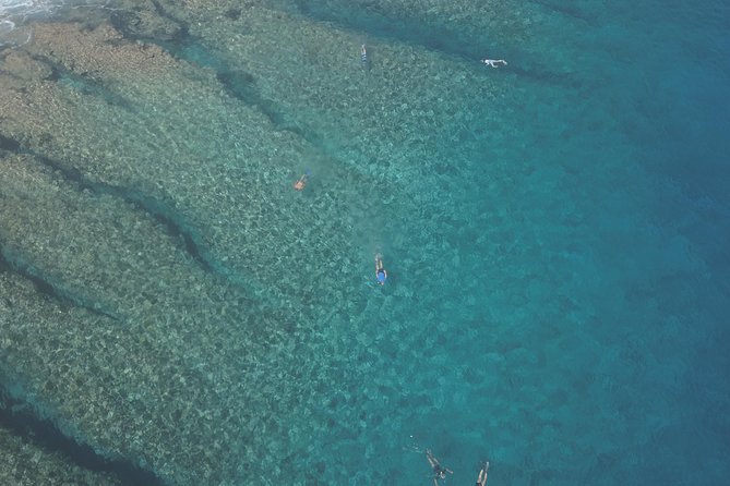 Tohora Bora Bora Snorkeling Lagoon Tours - Open water, blacktip reef sharks, and seasonal whales
