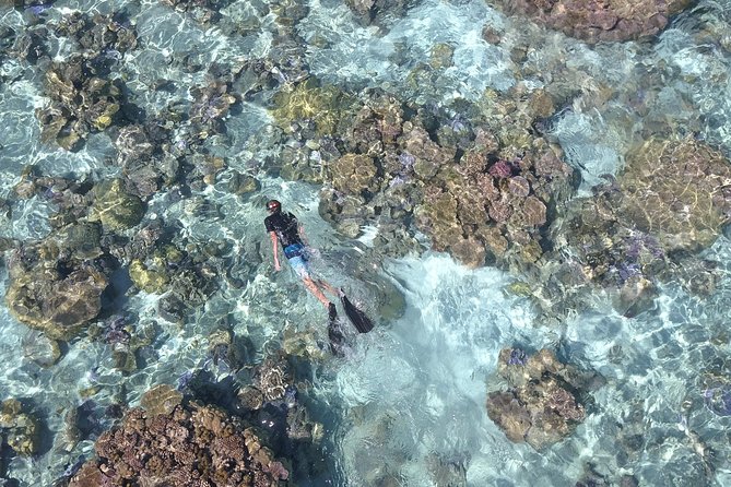 Tohora Bora Bora Snorkeling Lagoon Tours - Visibility, weather, and the route you may actually take