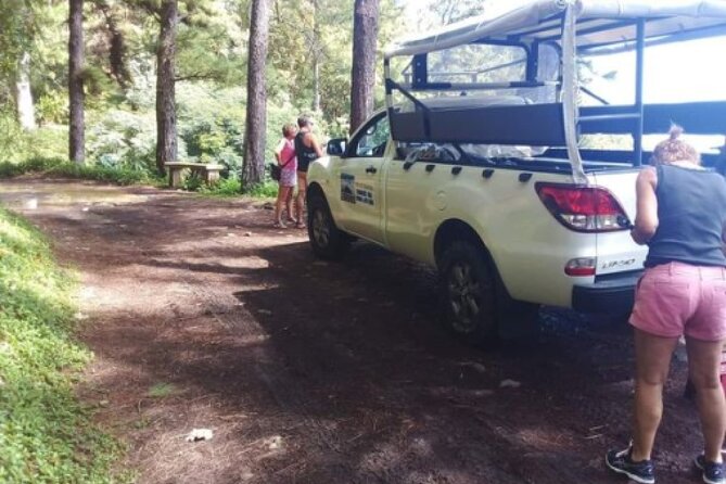 TOUR Safari 4X4 - Pineapple and vanilla show the working side of Moorea