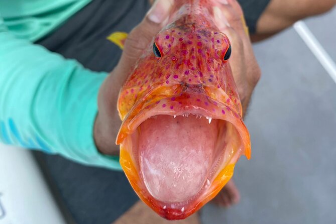 Unique in Raiatea: discover the lagoon, fish, cook, enjoy! - What the $340 Price Really Covers