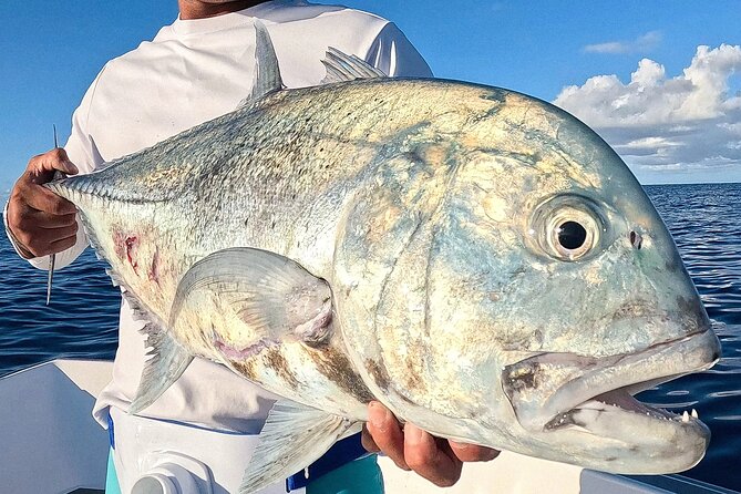 Unique in Raiatea: discover the lagoon, fish, cook, enjoy! - Why Captain Kenzo Matters