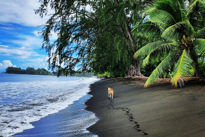 Unique Tahiti Tour - personalised, small group east coast tour - Arahoho Blowhole shows Tahiti’s volcanic force