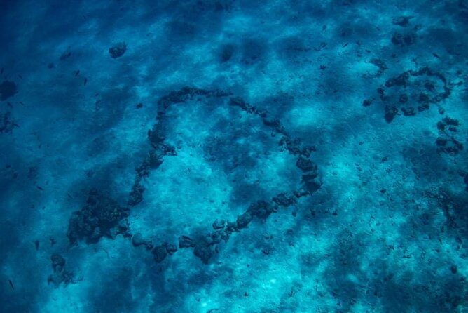 Want to escape? Treat yourself to a snorkeling session in Tahiti! - Why the private format affects the value