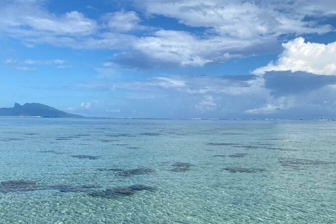 Want to escape? Treat yourself to a snorkeling session in Tahiti! - Nuuroa Bay and the search for dolphins