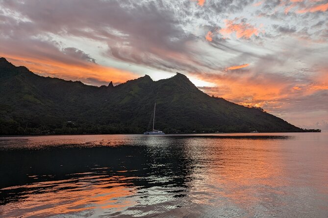 Whale watching 6 people half day - Who should book this Moorea whale tour?