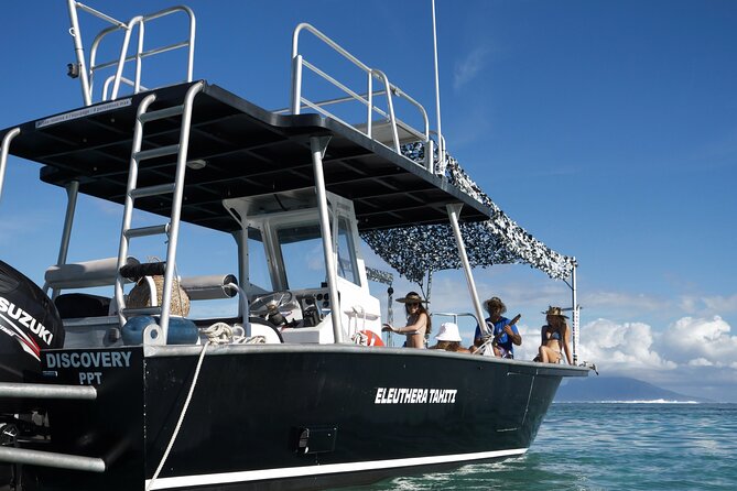Whale Watching Activity - Who will enjoy this Tahiti outing most